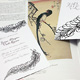 Serie Calligraphy - Modello Feather